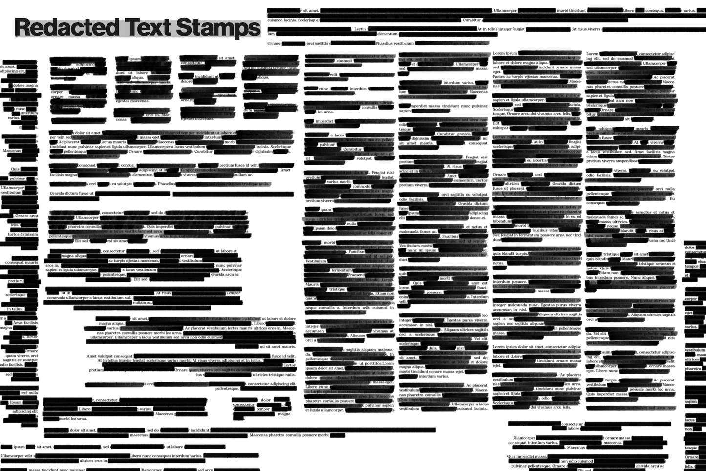 REDACTED VOL. II