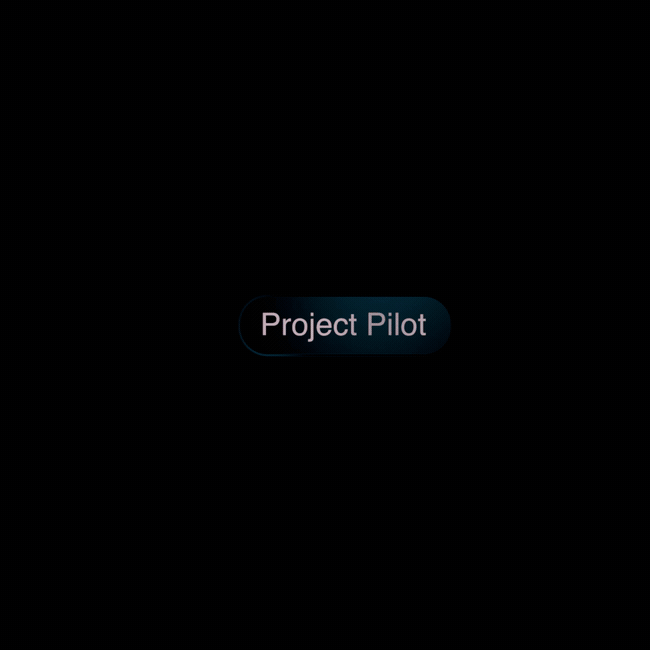 Project Pilot